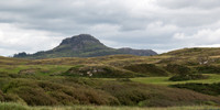 MadCampGen2025-007