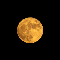 DSC_9339-HDR
