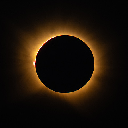 DSC_6993