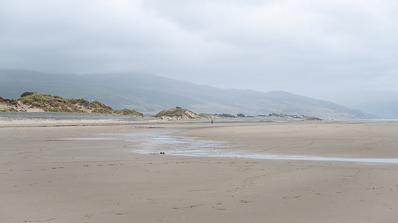 DSC_0909