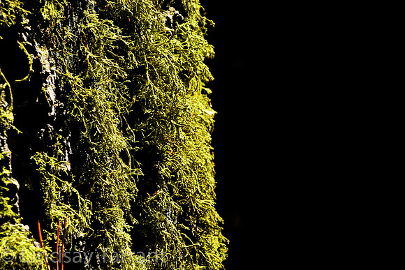 Web-00097
