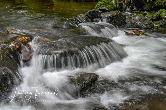 Gallery-0025