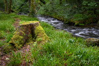 DSC_6308