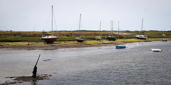 DSC_2067